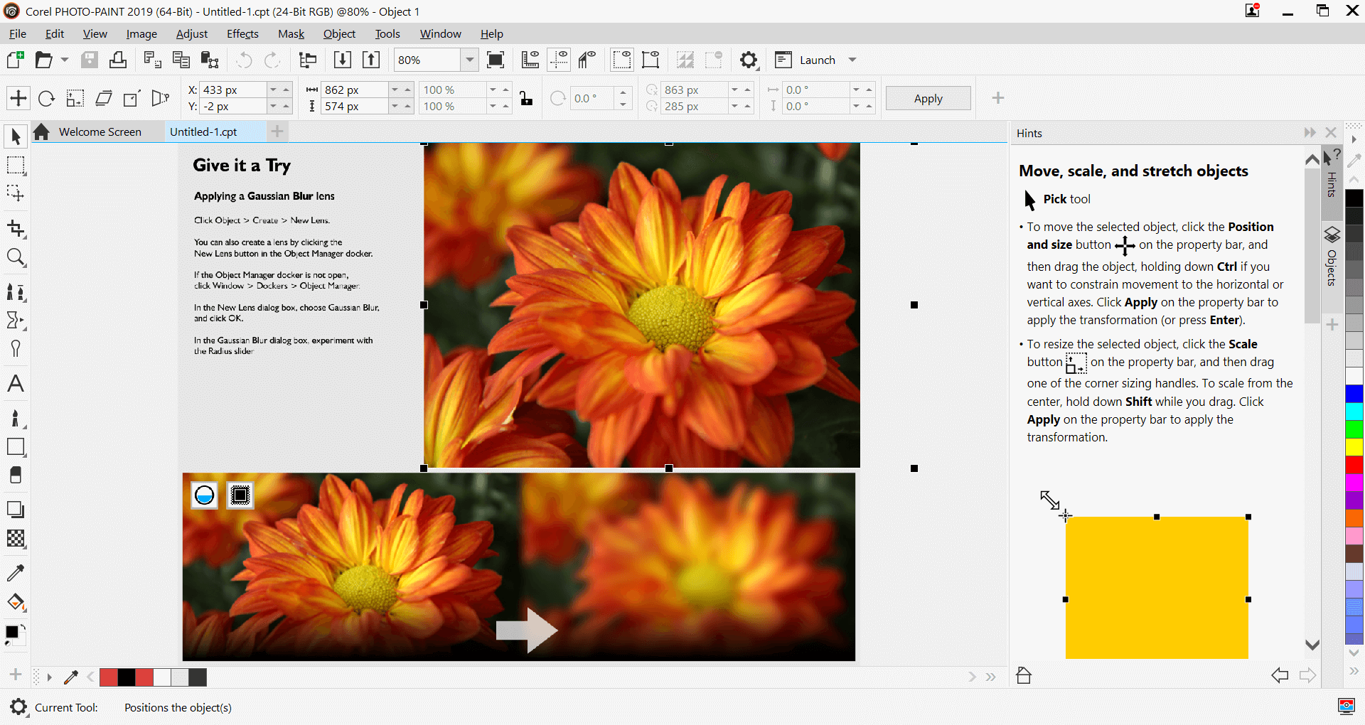CorelDRAW Graphics Suite 2025 for Business lifetime activation for MAC 7 purchase coreldraw