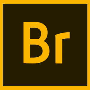 Adobe Bridge 2026 - Lifetime Activation For Windows