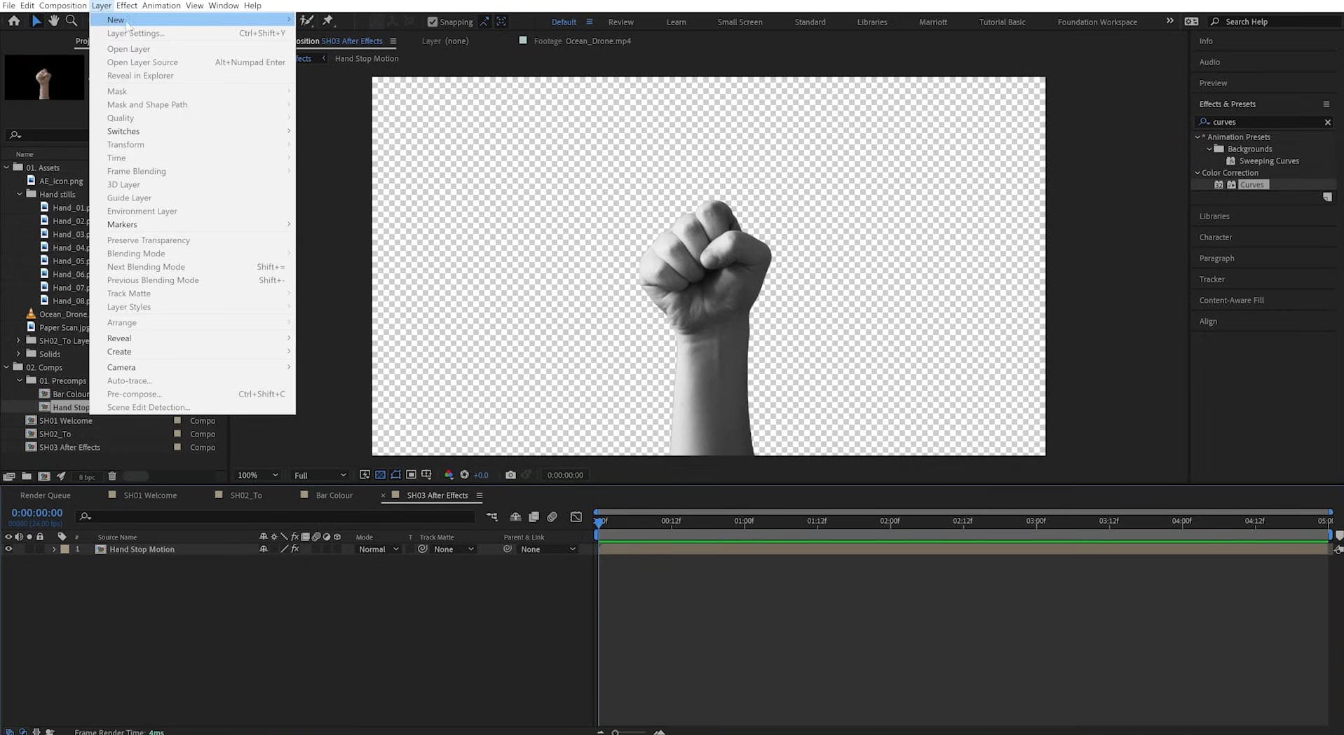 Adobe After Effects 2025 - Lifetime Activation For Windows 5 Adobe After Effects license